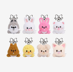 Stray Kids SKZOO Secret Wind-Up Plush