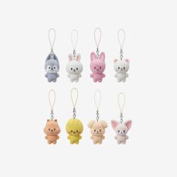 Stray Kids - Stray Kids 6TH FANMEETING [STAY in Our Little House] : SKZOO SECRET MINI CHARM (Random)  PRE - ORDER 
