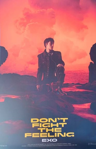 EXO - DON’T FIGHT THE FEELING плакат