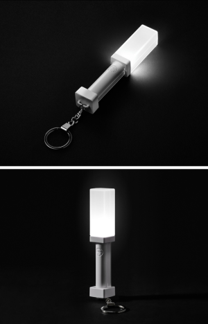 TWS Official Light Stick Keyring