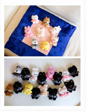 SKZOO Secret Plush Micro