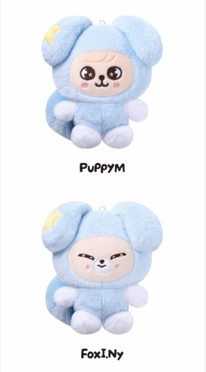 Stray Kids SKZOO Plush in TASY Run It