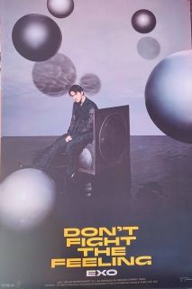 EXO - DON’T FIGHT THE FEELING плакат
