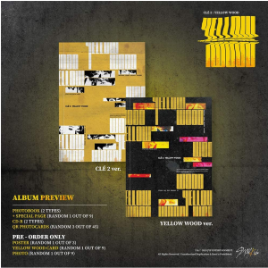 Stray Kids – Clé 2: Yellow Wood 