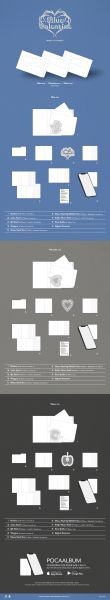 NMIXX - Blue Valentine (POCAALBUM Ver.) + Random Photocard (FANS SHOP) PRE - ORDER 