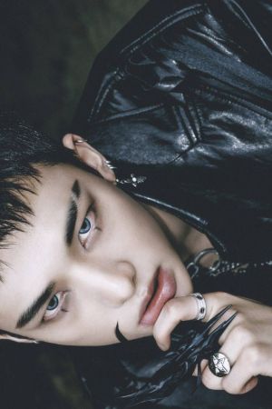 STRAYKIDS DO IT СЕТ КАРТИЧКИ 