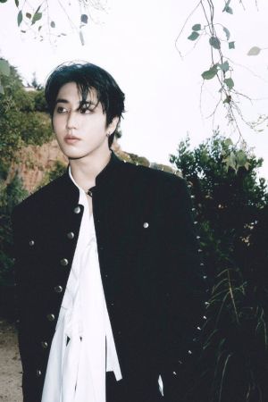 STRAYKIDS DO IT СЕТ КАРТИЧКИ 