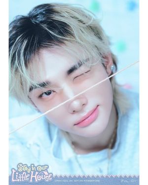 STRAYKIDS FANMEETING СЕТ КАРТИЧКИ 