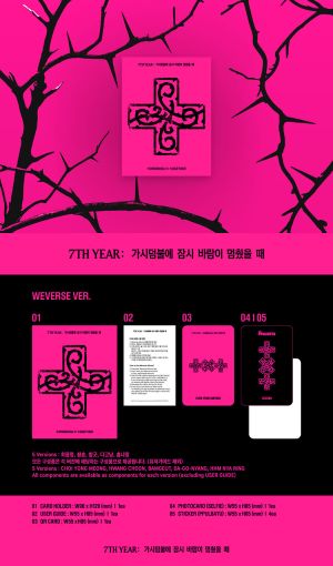 TXT- 7TH YEAR: WHEN THE WIND PAUSED AMONG THE THORNS (PPULBATU Ver.) + RANDOM LOGO FRAME PHOTOCARD (APPLE MUSIC) PRE - ORDER 